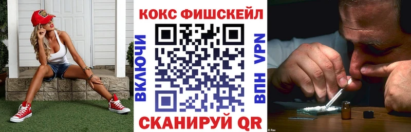 Cocaine FishScale  Салехард 