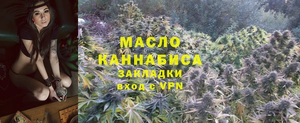 твердый Арсеньев