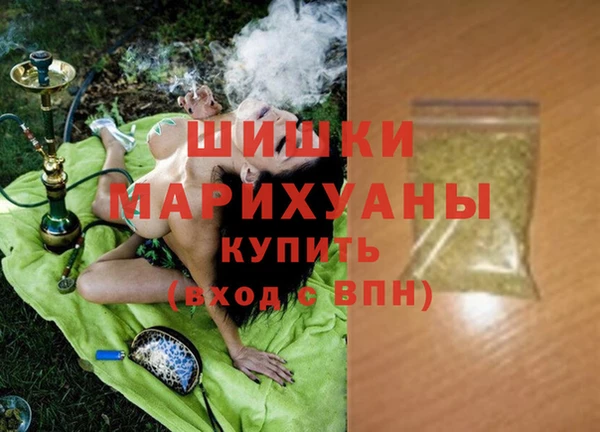 твердый Арсеньев