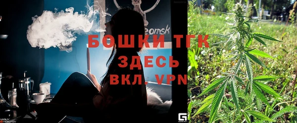 твердый Арсеньев