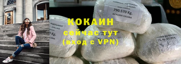 твердый Арсеньев