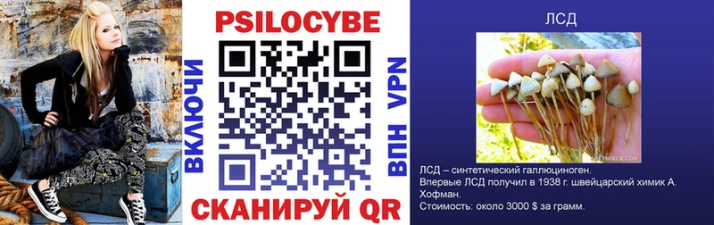 наркотики  Салехард  Псилоцибиновые грибы мухоморы 